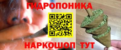 PSILOCYBIN Аргун