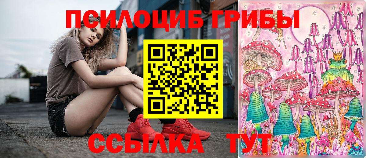 Псилоцибиновые грибы Cubensis Воткинск