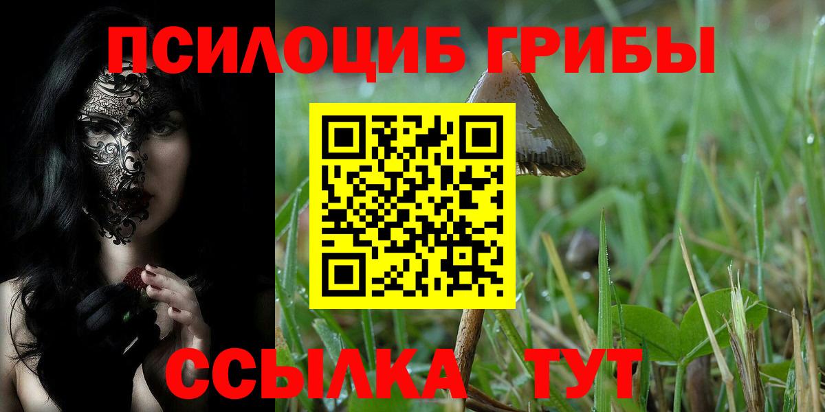 что такое   Псилоцибиновые грибы Cubensis  Вход с VPN  Воткинск 